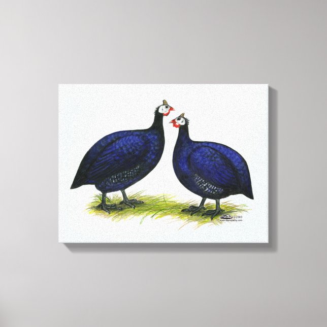 Guineas Royal Purple Pair Canvas Print (Front)