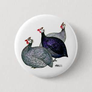 Guineas Three 2 Inch Round Button