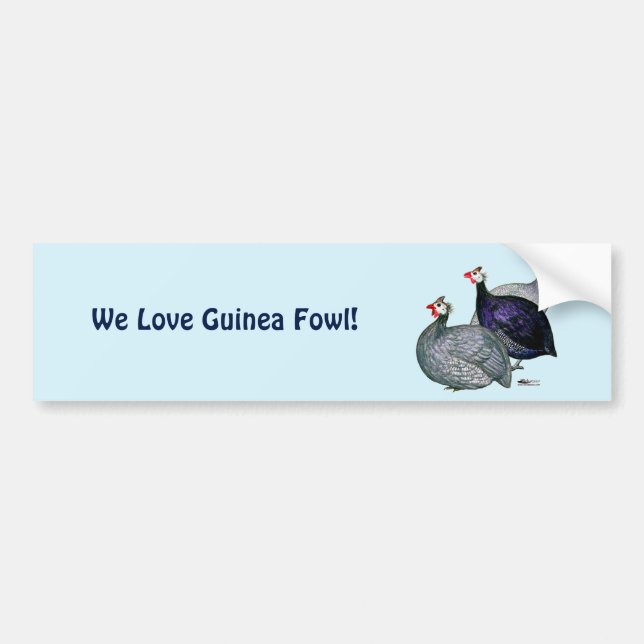 Guineas Three Bumper Sticker (Front)