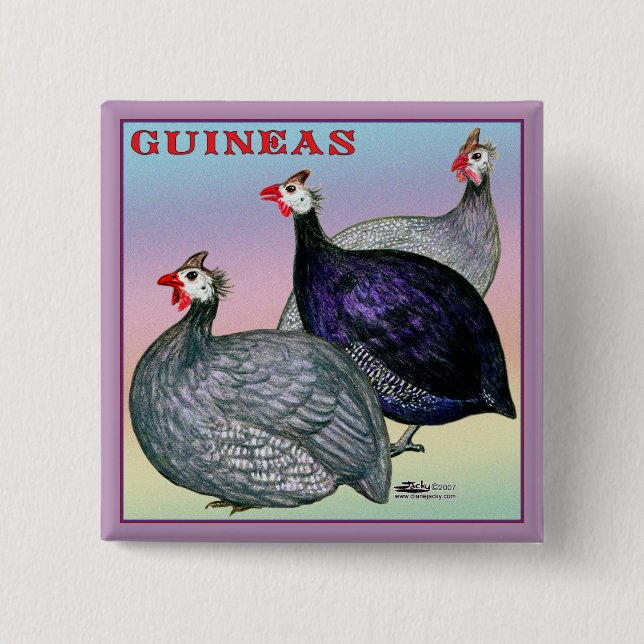 Guineas Three Fowl 2 Inch Square Button (Front)
