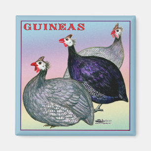 Guineas Three Fowl Magnet