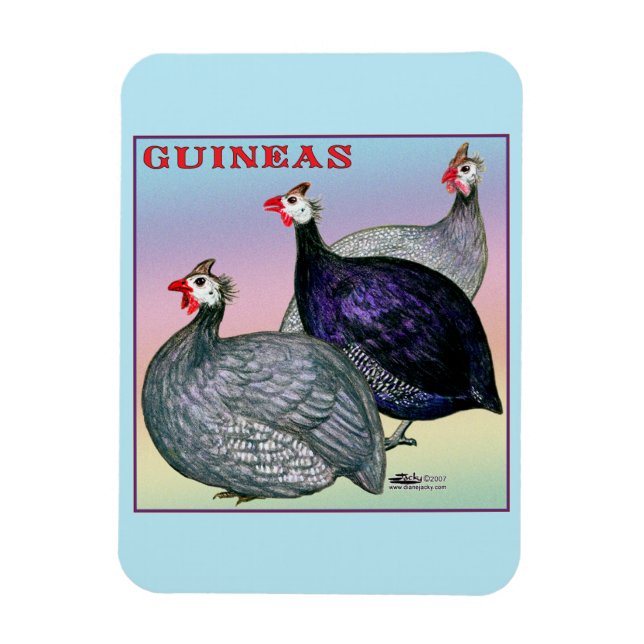 Guineas Three Fowl Magnet (Vertical)