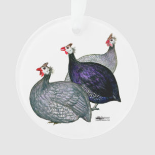 Guineas Three Ornament