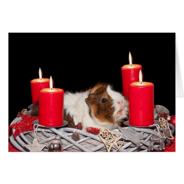 Guinée Pig in Wreath Carte de Noël (Devant horizontal)