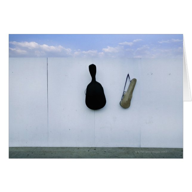 Guitar and Violin Case (Front Horizontal)