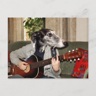 Guitar dog postcard