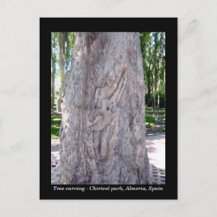 Guitar player tree carving postcard - Spain