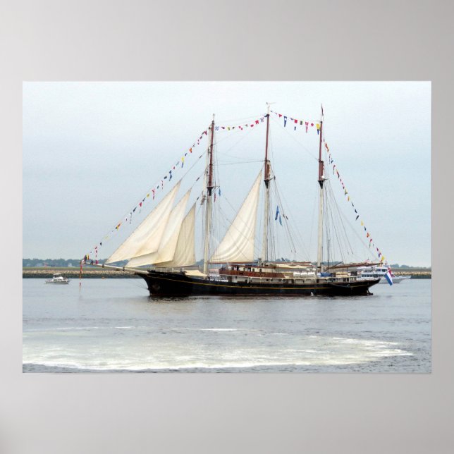 Gulden Leeuw Poster (Front)