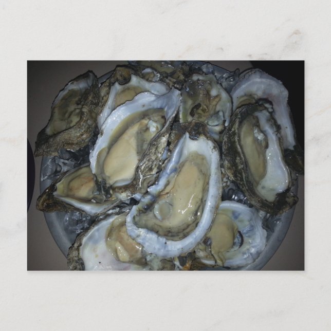 Gulf Coast Oysters Postcard (Front)