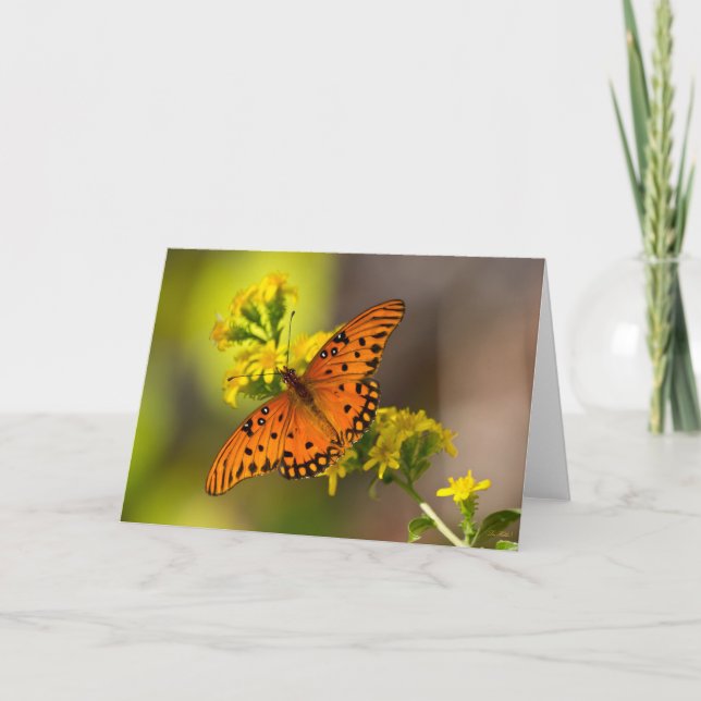 Gulf Fritillary aka Passion Butterfly on Goldenrod Card (Front)