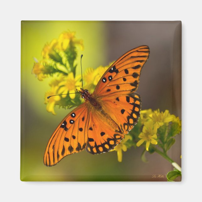 Gulf Fritillary aka Passion Butterfly on Goldenrod Magnet (Front)