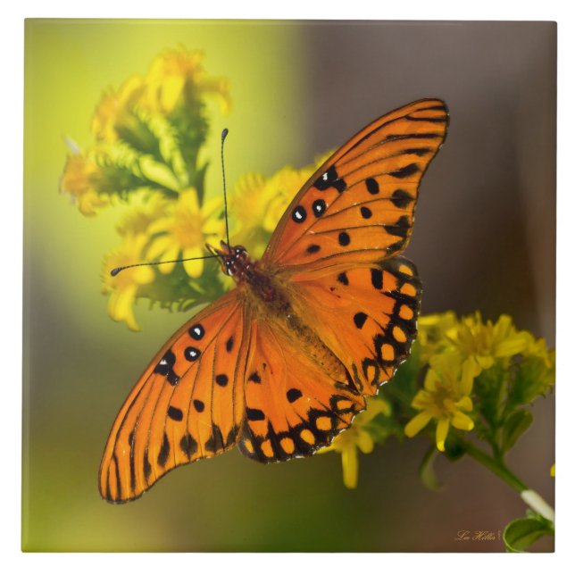 Gulf Fritillary aka Passion Butterfly on Goldenrod Tile (Front)