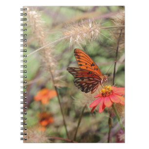 Gulf Fritillary on Zinnia Notebook