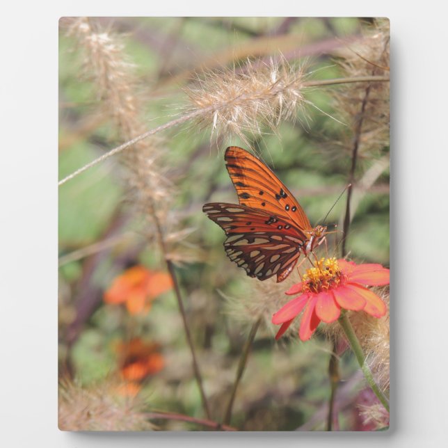 Gulf Fritillary on Zinnia Plaque (Front)