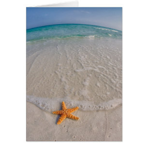 Gulf Island National Seashore Note Card