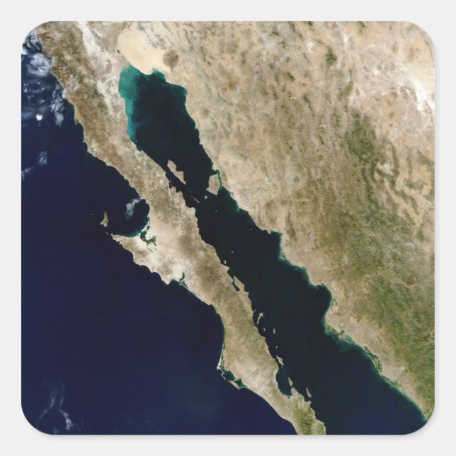 Gulf of California Square Sticker (Front)