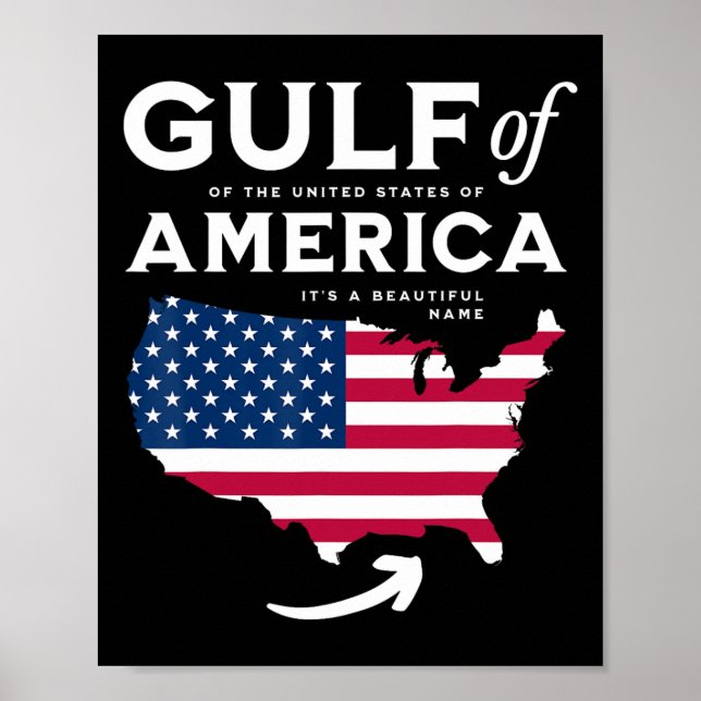 Gulf Of Us America 1  Poster (Front)