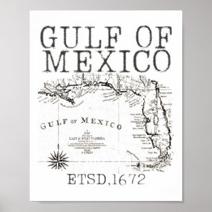 Gulf Of Usa America Funny Gulf Of Mexico Flag Map Poster