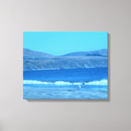 Gull at Doran Canvas Print