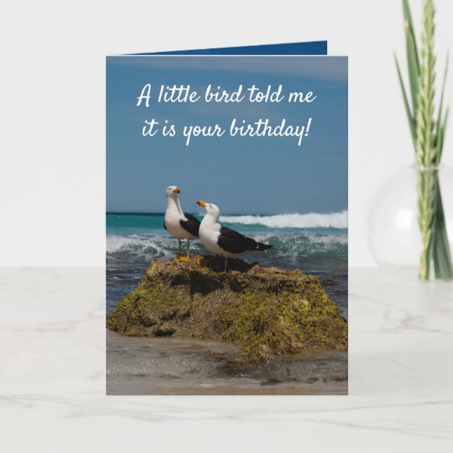 Gull Bird Secluded Beach in Paradise Birthday Card (Front)