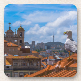 Gull Birds Eye View Rooftops of Portugal Coaster