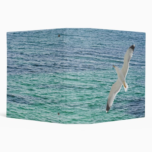 Gull flying above a sea binder (Background)