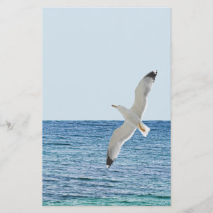 Gull flying above a sea flyer