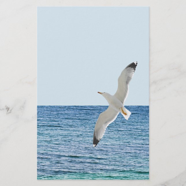 Gull flying above a sea flyer (Front)