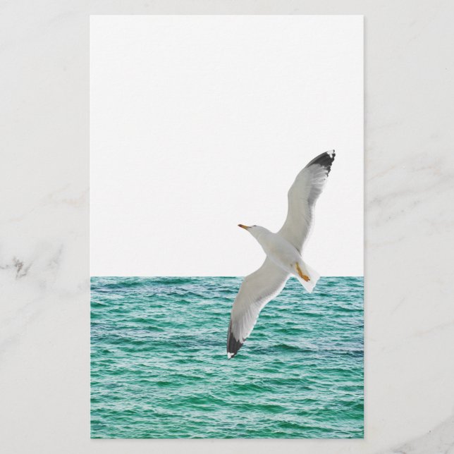 Gull flying above a sea flyer (Front)