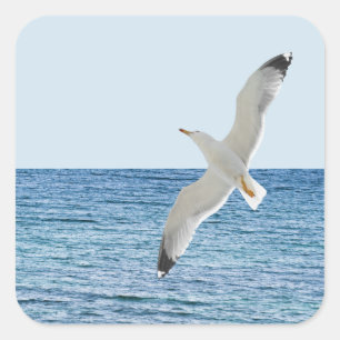 Gull flying above a sea square sticker