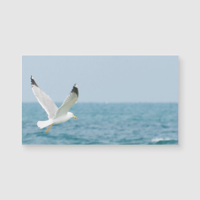 Gull flying above sea (Front)