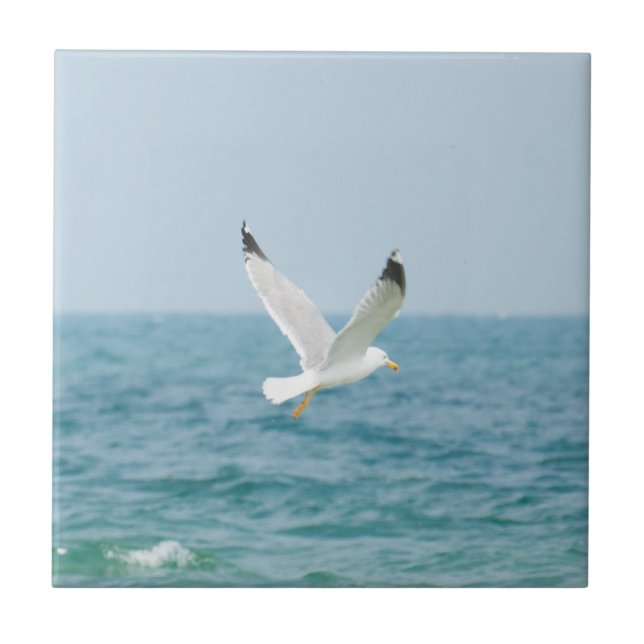 Gull flying above sea tile (Front)