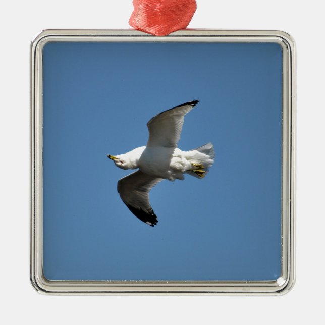 Gull Flying Upside Down Funny Wildlife Photography Metal Ornament (Front)