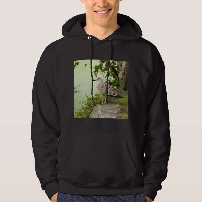 Gull Hoodie (Front)