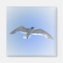 Gull in Flight 2 Magnet