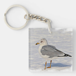 Gull in the snow keychain