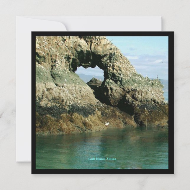 Gull Island, Alaska Invitation (Front)