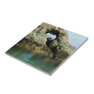 Gull Island, Alaska Tile