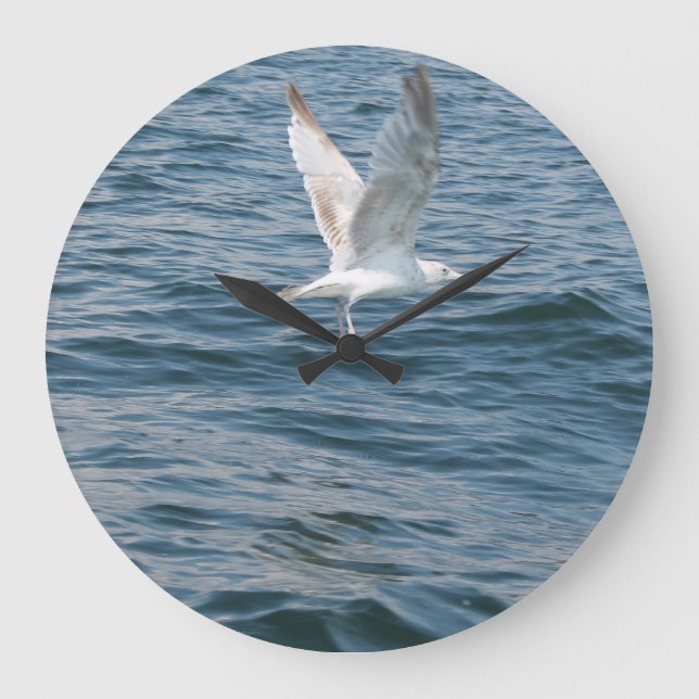 gull kidnaps time large clock (Front)