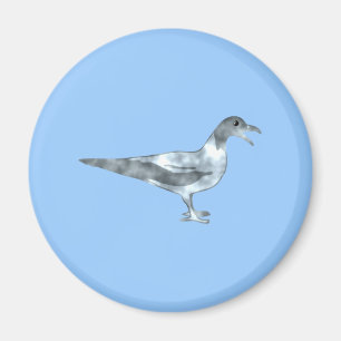 gull magnet