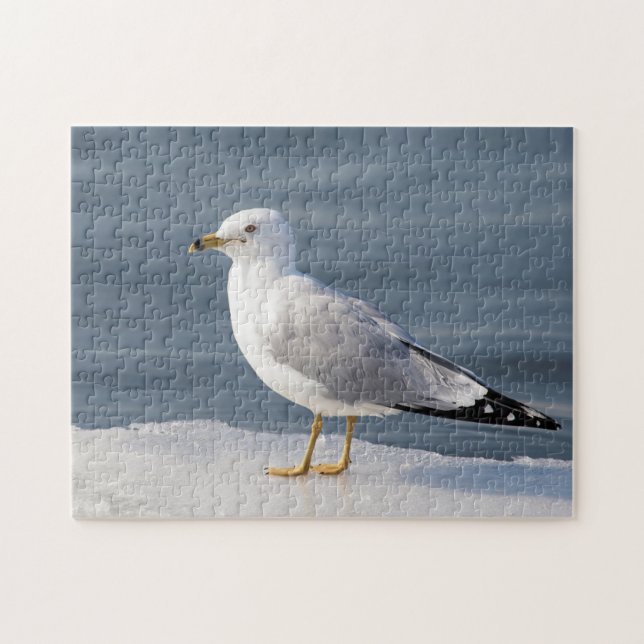 Gull on ice jigsaw puzzle (Horizontal)