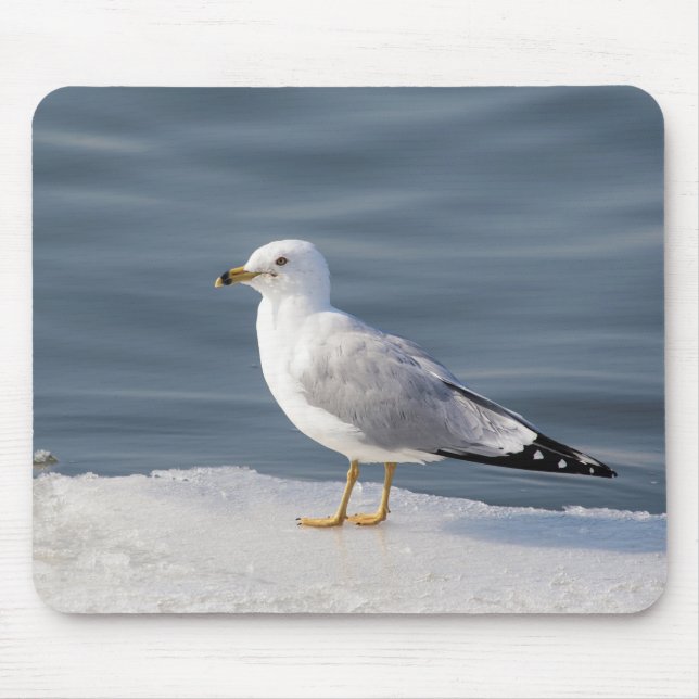 Gull on ice mouse pad (Front)