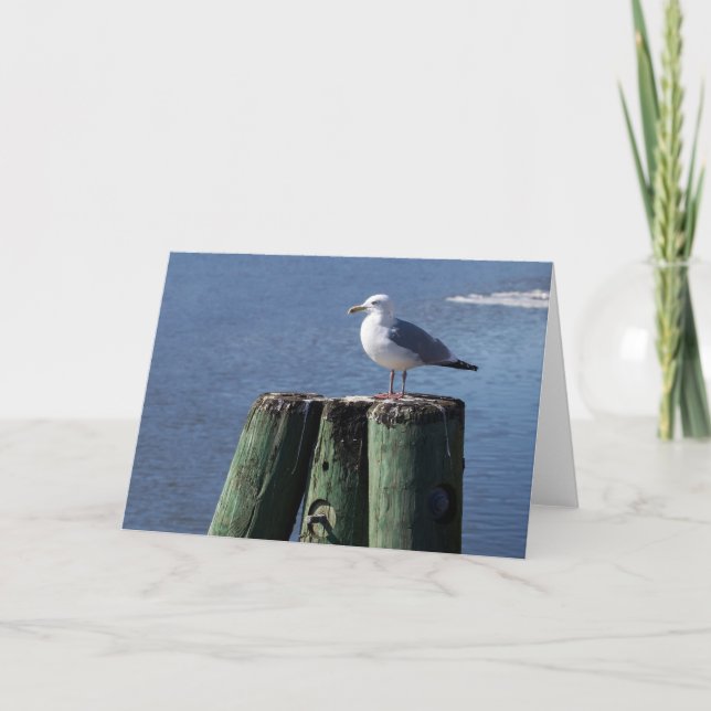 Gull on Pilings Card (Front)