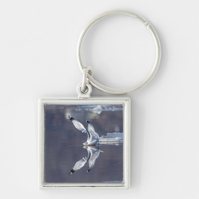 Gull Reflections Keychain (Front)