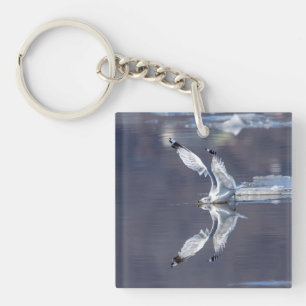 Gull Reflections Keychain