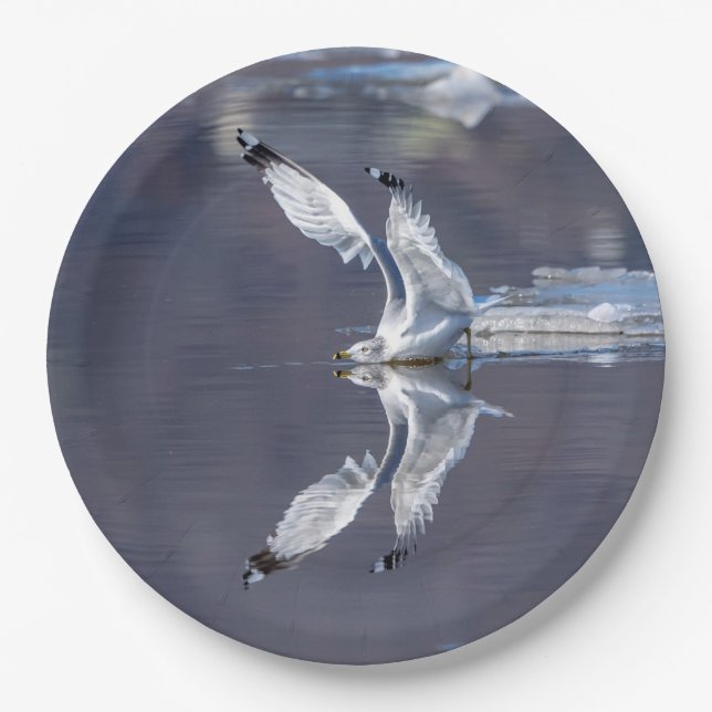 Gull Reflections Paper Plate (Front)