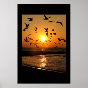 Gull sunset print