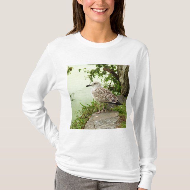 Gull T-Shirt (Front)