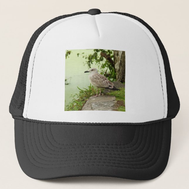 Gull Trucker Hat (Front)