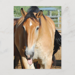 Gulliver Tongue Out Postcard